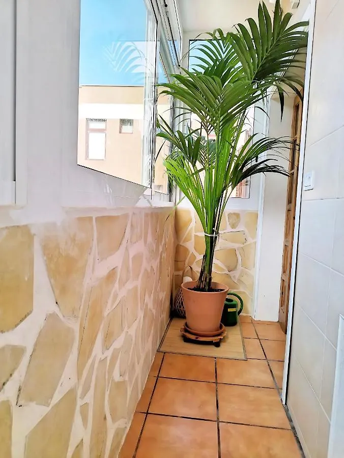 Apartamento Vida Mediterranea Apartment Puerto de la Cruz  Puerto de la Cruz (Tenerife)