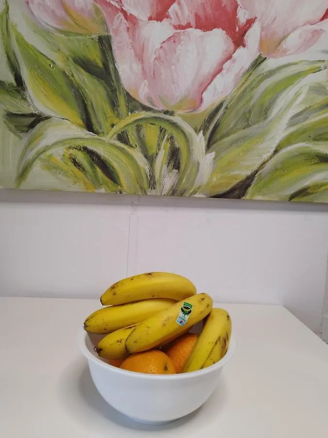 Apartamento Vida Mediterranea Apartment Puerto de la Cruz  Puerto de la Cruz (Tenerife)